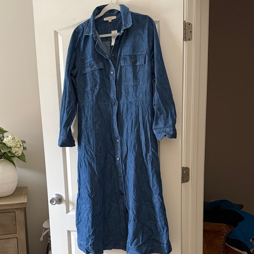 LOFT Indigo Denim Long-Sleeve Button Dress
